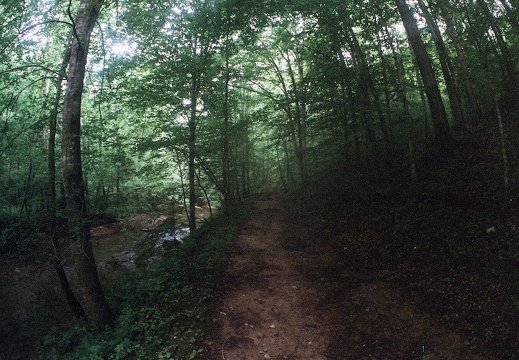 Big South Fork country